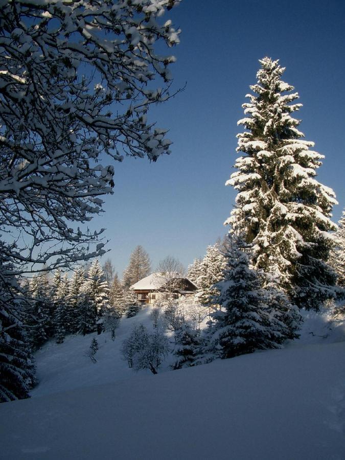 Niederwinklern Almhaus Tschamutsch 아파트 외부 사진